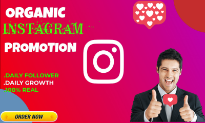 I Will Do Instagram Marketing and Promotion for Fast Organic Growth