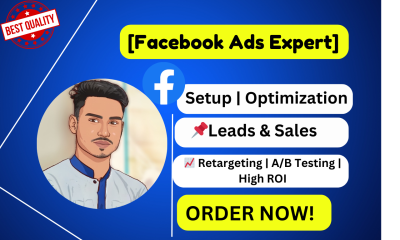 I Will Set Up and Manage Facebook Ads and Meta Ads Campaigns for Effective Facebook Marketing