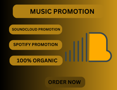 I Will Do SoundCloud Music Promotion Organically