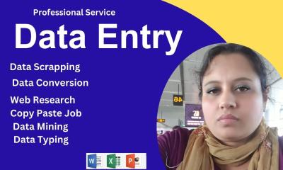 I Will Provide Accurate Data Entry, Web Research, and File Conversion Services