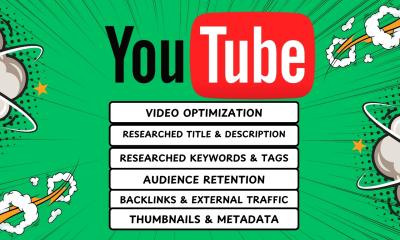 I Will Do YouTube Video SEO and Expert Channel Growth