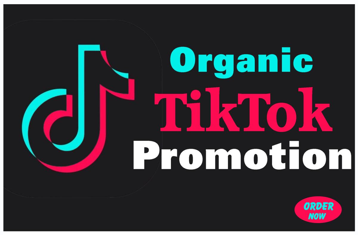 Do Super Fast Organic TikTok Promotion