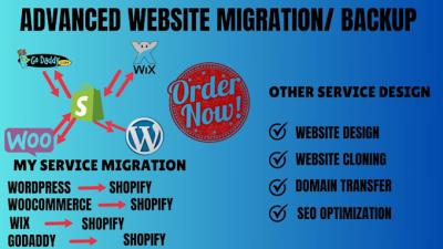 Shopify Migration Services