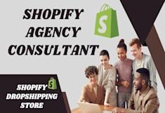 I Will Customize Shopify Template, Set Up Shopify Store, and Create Shopify Dropshipping Store with SEO