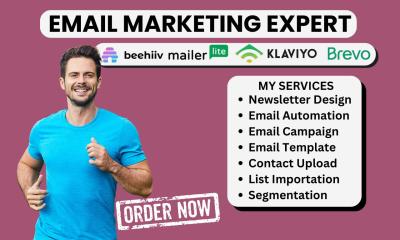 I Will Create an Email Campaign, Email Template, and Newsletter on Brevo, Beehive, MailerLite, and Klaviyo