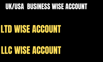 I Will Register LTD and LLC for Business Wise Account