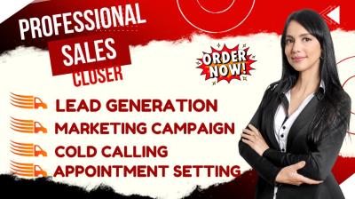 I Will Be Your High Ticket HubSpot Sales Closer and Launch Blast Campaigns to Boost Your Sales