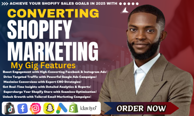 I Will Provide Shopify Coaching, Dropshipping Marketing, and Klaviyo Email Marketing Flows