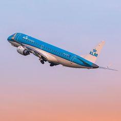 (KLM~Support) What is the 24 Hour Rule for KLM?