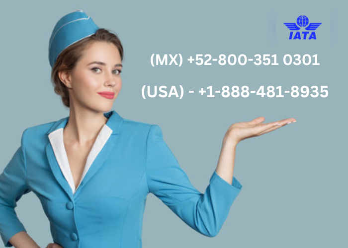 [[FAQ’S™]]¿Cómo hablo con una persona real en WestJet?