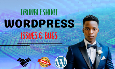 I Will Provide Fast Troubleshooting, Support Updates, and Maintenance for Your WordPress Website