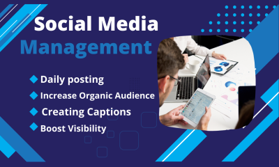 I Will Manage Your Social Media by Creating Daily Posts and Increasing Your Audience