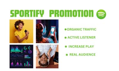 I Will Do Viral Organic Spotify Music Podcast Promotion Playlist Curator