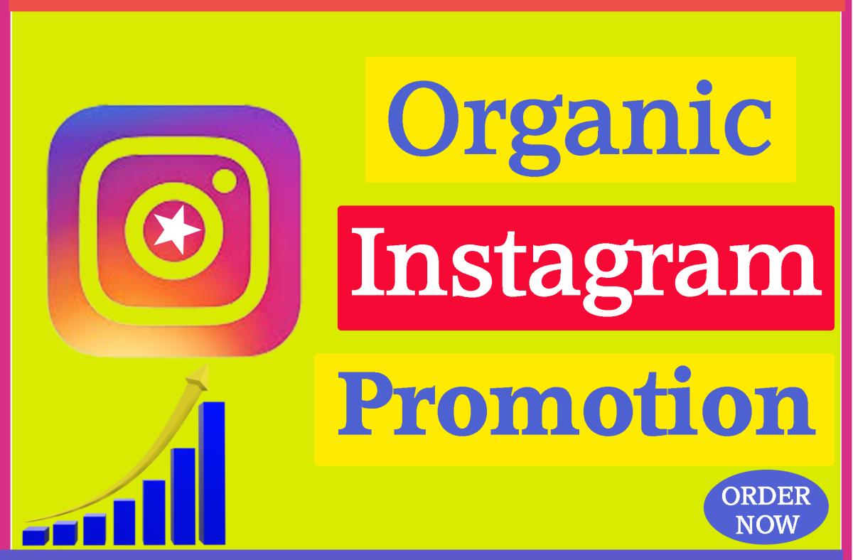 Super Fast Organic Instagram Growth to Increase Followers