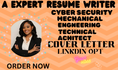 I Will Provide Strategic Job Search and Resume Optimization for Engineers