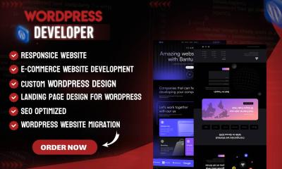 I Will Do WordPress Web Developing, Responsive Design, Plugin Integration, and Elementor Customization