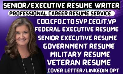 I Will Craft an Executive-Level Resume, ATS-Compatible CV, LinkedIn Profile, and Cover Letter for IT VP Roles