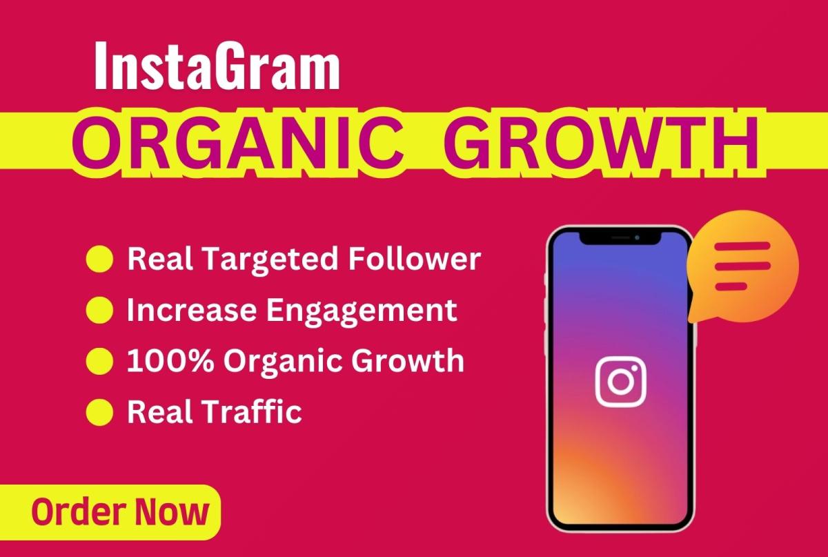 I Will Do Fast Organic Instagram Growth for Real Followers and Promotion