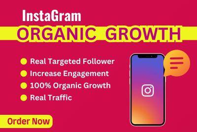 I Will Do Fast Organic Instagram Growth for Real Followers and Promotion