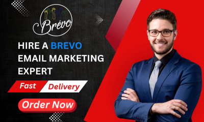 I Will Design a Brevo Email Newsletter and Provide All Brevo Services