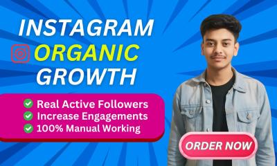 I will do instagram promotion and manage for super fast organic growth