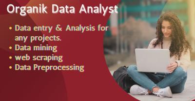 I will do organic data entry of your any projects within just 24 hours