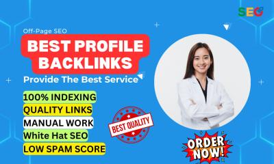 I will create high quality profile backlinks for SEO ranking