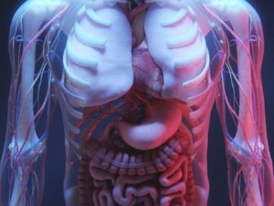 I Will Create High Quality 3D Medical Animation Video and Modeling