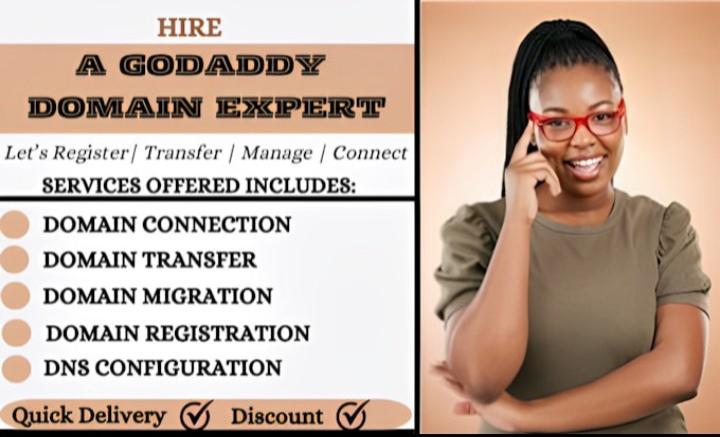 I Will Help You Register, Transfer, and Manage Your GoDaddy Domain with Confidence