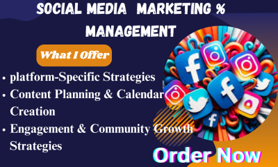 I Will Schedule and Manage Your Social Media Posts Efficiently