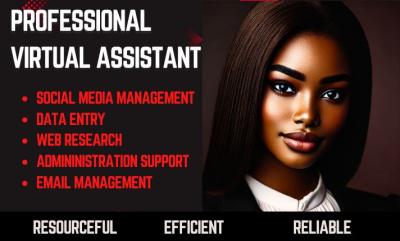 I Will Be Your Personal Administrative Virtual Assistant