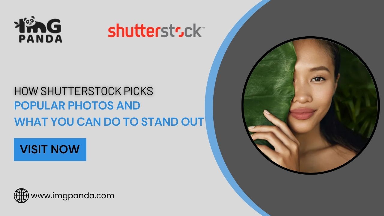 How Shutterstock Picks Popular Photos and What You Can Do to Stand Out