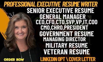 I Will Craft a Professional Executive Resume, ATS CV, LinkedIn Profile, and Cover Letter for IT VPs