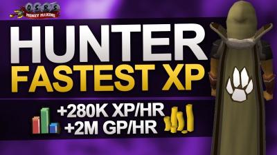 How to Level Hunting in OSRS Best Methods Tips and Tricks for Fast XP