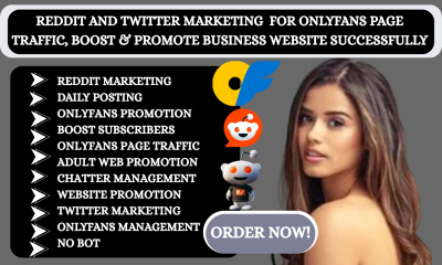I will do Reddit Post Boost OnlyFans Traffic Chatter Manager Fanvue Twitter Marketing