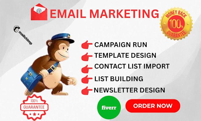 I Will Do Mailchimp Email Campaign, Template Design, Newsletter Campaign, Contact List Management