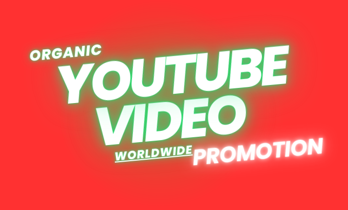 I will do organic YouTube video promotion, video monetization