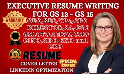 Do Professional Executive Resume, CV Design, Cover Letter, LinkedIn Optimization