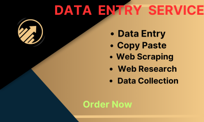 I will do data entry, copy paste, web research, web scraping