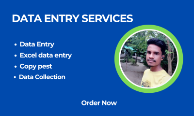 I will do data entry or data collection