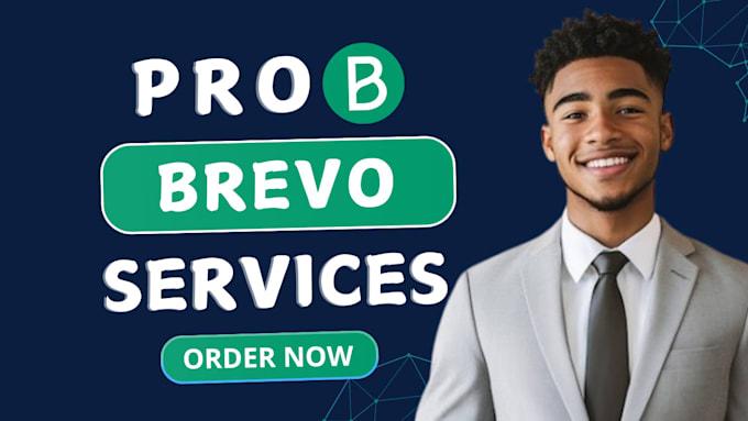 I will design Brevo email marketing newsletter templates and automation workflows