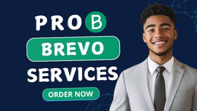 I will design Brevo email marketing newsletter templates and automation workflows