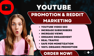 I will do organic YouTube video promotion, channel SEO & social media management