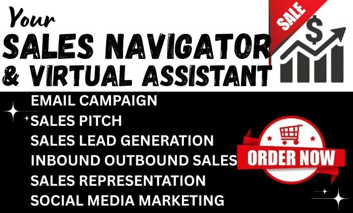 I will do B2B Leads Generation, LinkedIn Scraping, Sales Lead, Google Map Scraping