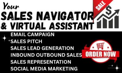 I will do B2B Leads Generation, LinkedIn Scraping, Sales Lead, Google Map Scraping