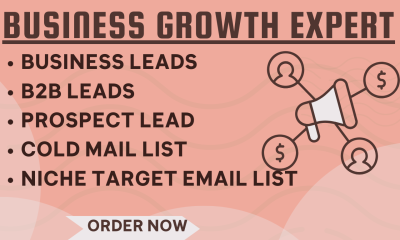 I will niche target email list, prospect leads B2B leads cold mail list LinkedIn leads