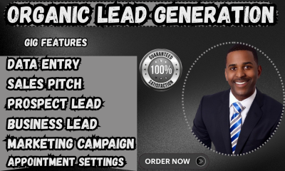 I Will Sales Pitch, Data Entry, Prospect Lead, Email Marketing Campaign, Business Lead