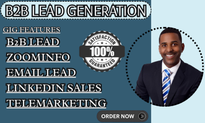 I will B2B Lead Sweepstakes Lead LinkedIn Sales Navigator ZoomInfo Email Lead