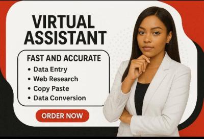 I will do accurate data entry, copy paste, typing, and web research