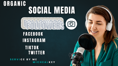 I will be your social media marketing manager strategist, Facebook Ads, IG and content